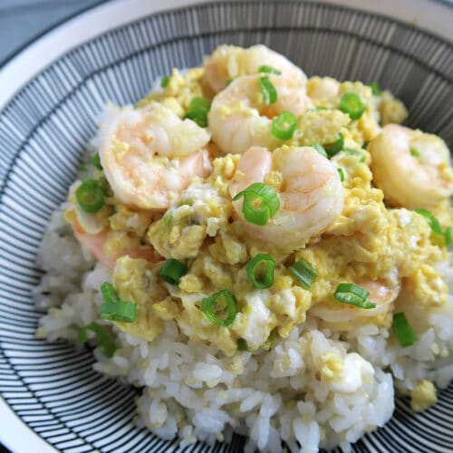 shrimp and egg over rice with scallion.