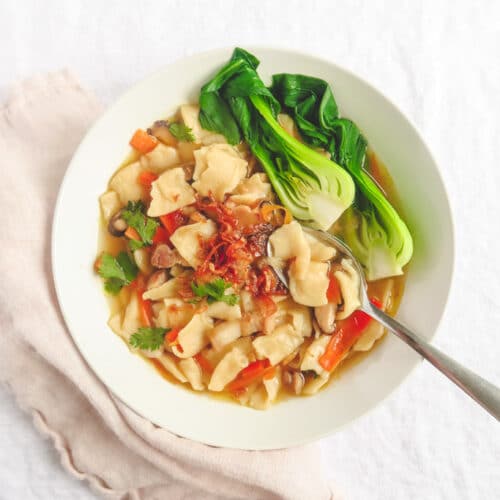 Hand toen noodle soup with veggies.