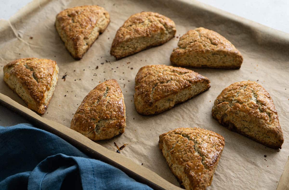 Eight scones on a baking tray lined with  brown parchment paper. 