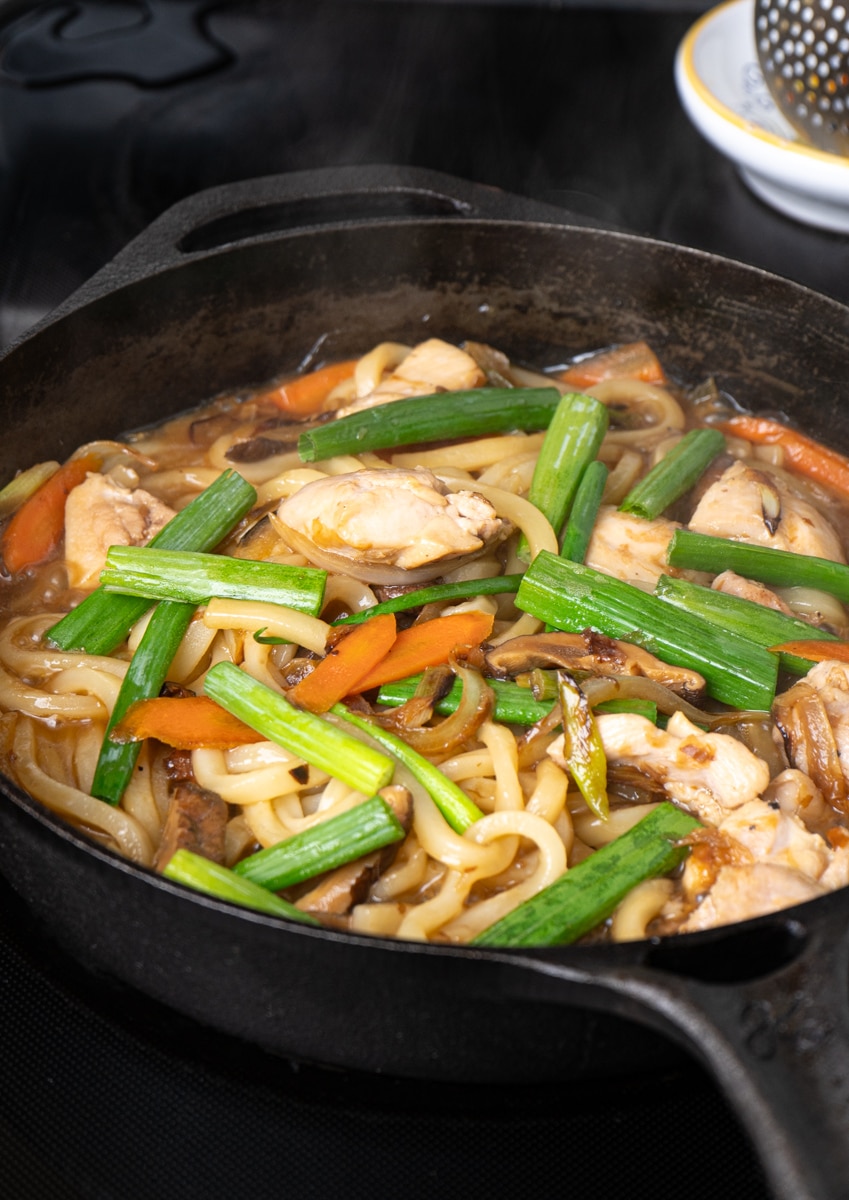 Stir fried udon with chicken, onion, carrots, shiitake mushroom and scallion in a cast iron skillet.